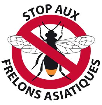 Stop Frelon Asiatique