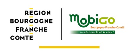 Capture Mobigo transports