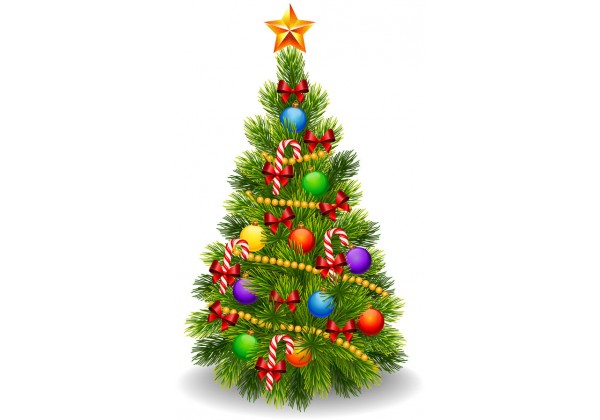 Sapins de Noël / A.P.E.
