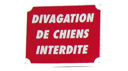 Divagation des chiens