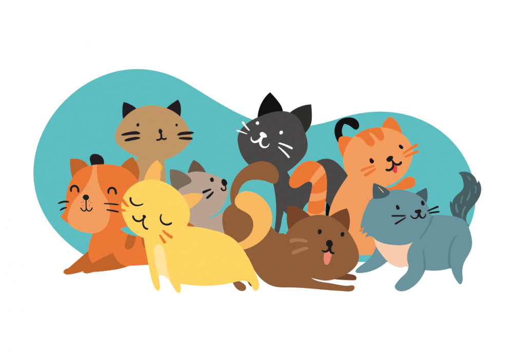 Chats errants