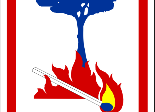 Logo Feux de Forêt