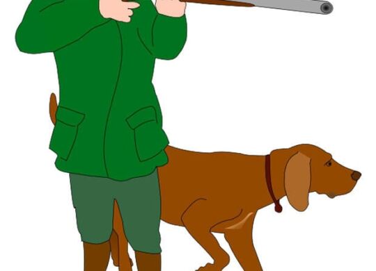 Chasseur et chien