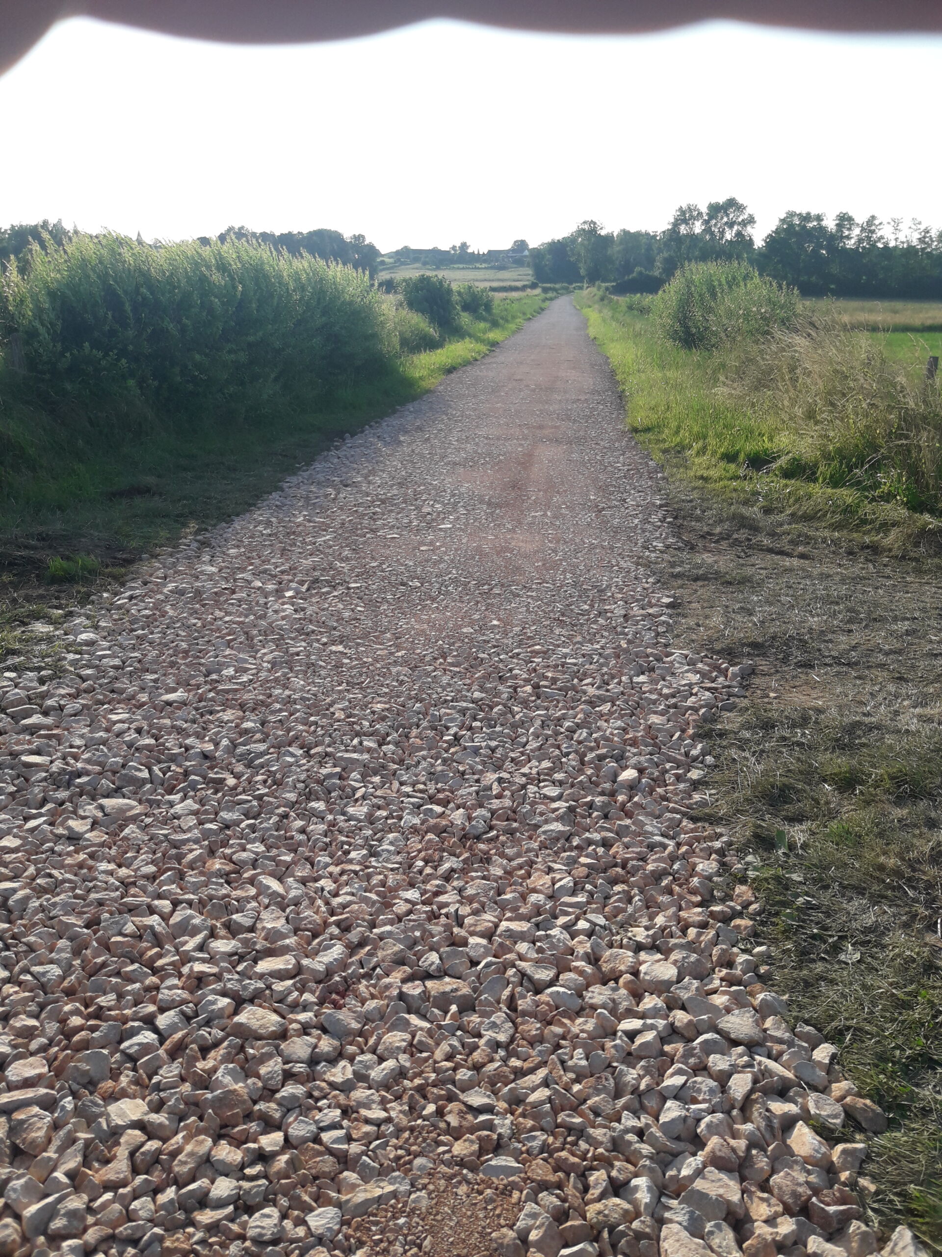 20250616_194932 Chemin de prairie Tiffailles - 2025