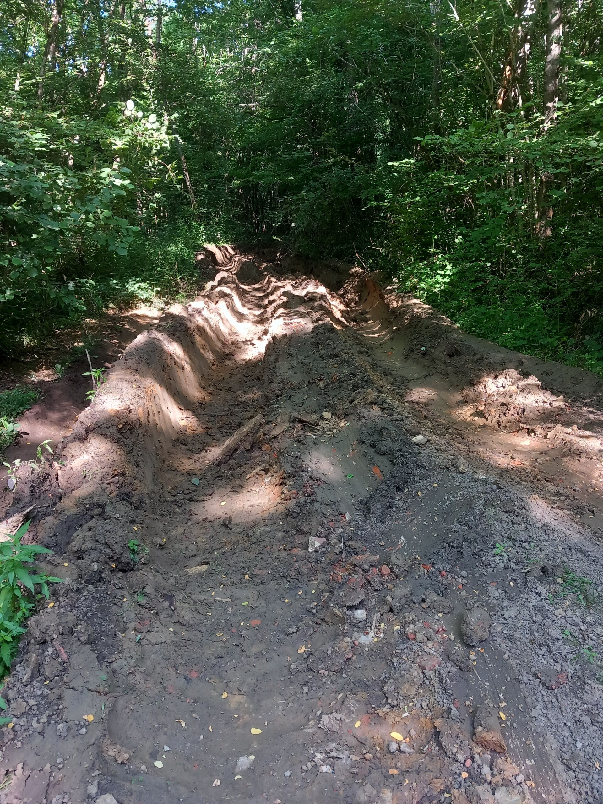 Chemin Bois Guérin - dégâts