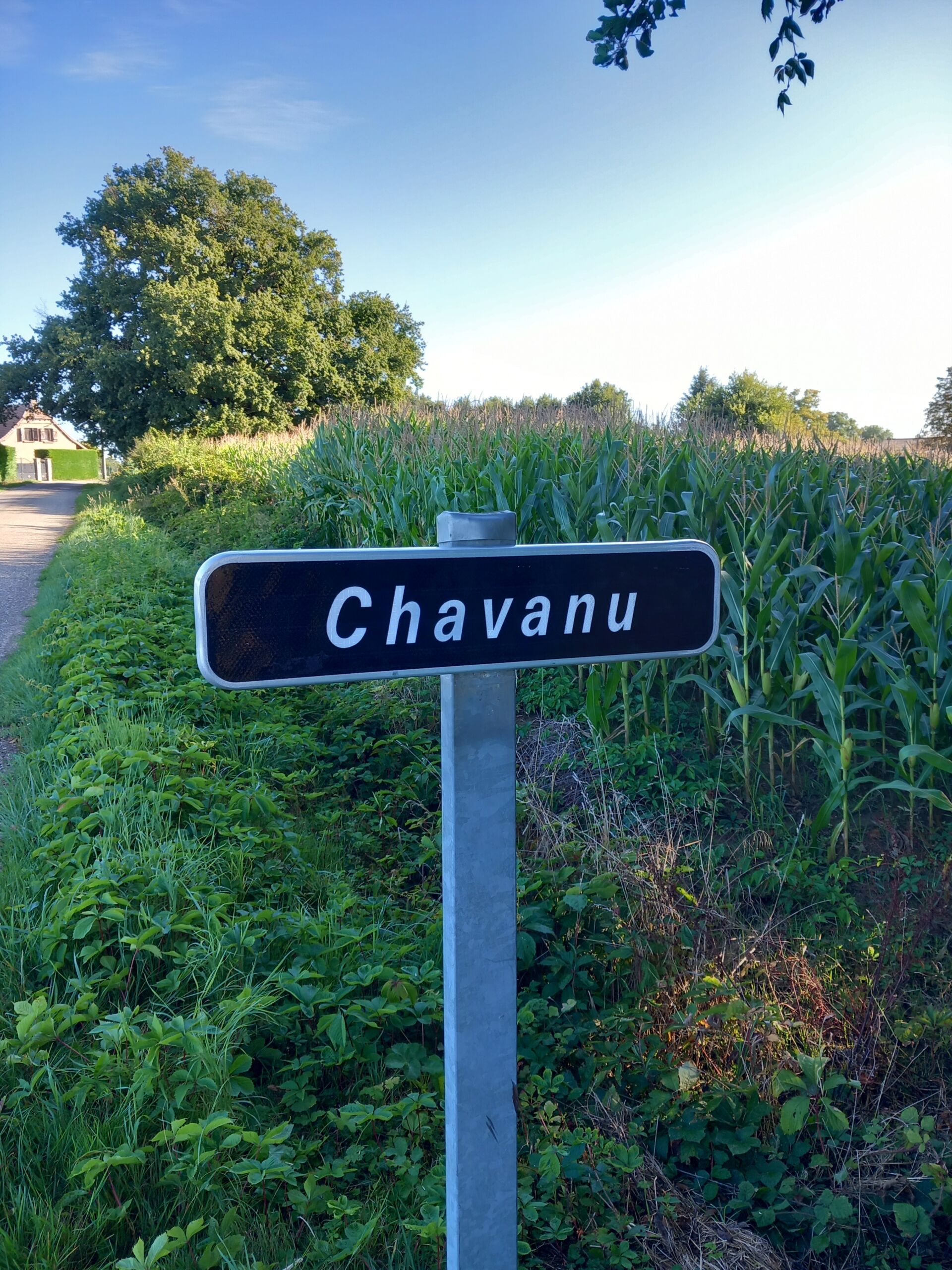 20250902_085554 Panneau CHAVANU - 2025