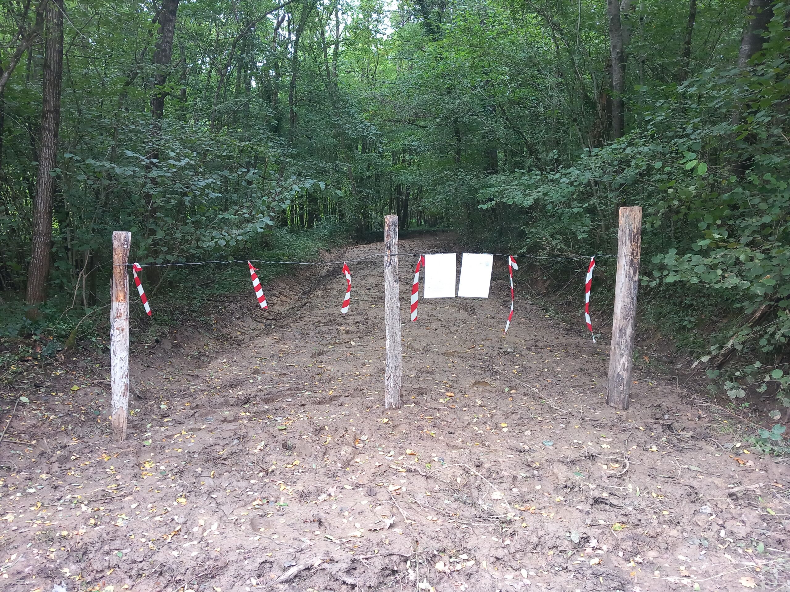 Chemin Bois Guérin fermé - 2025