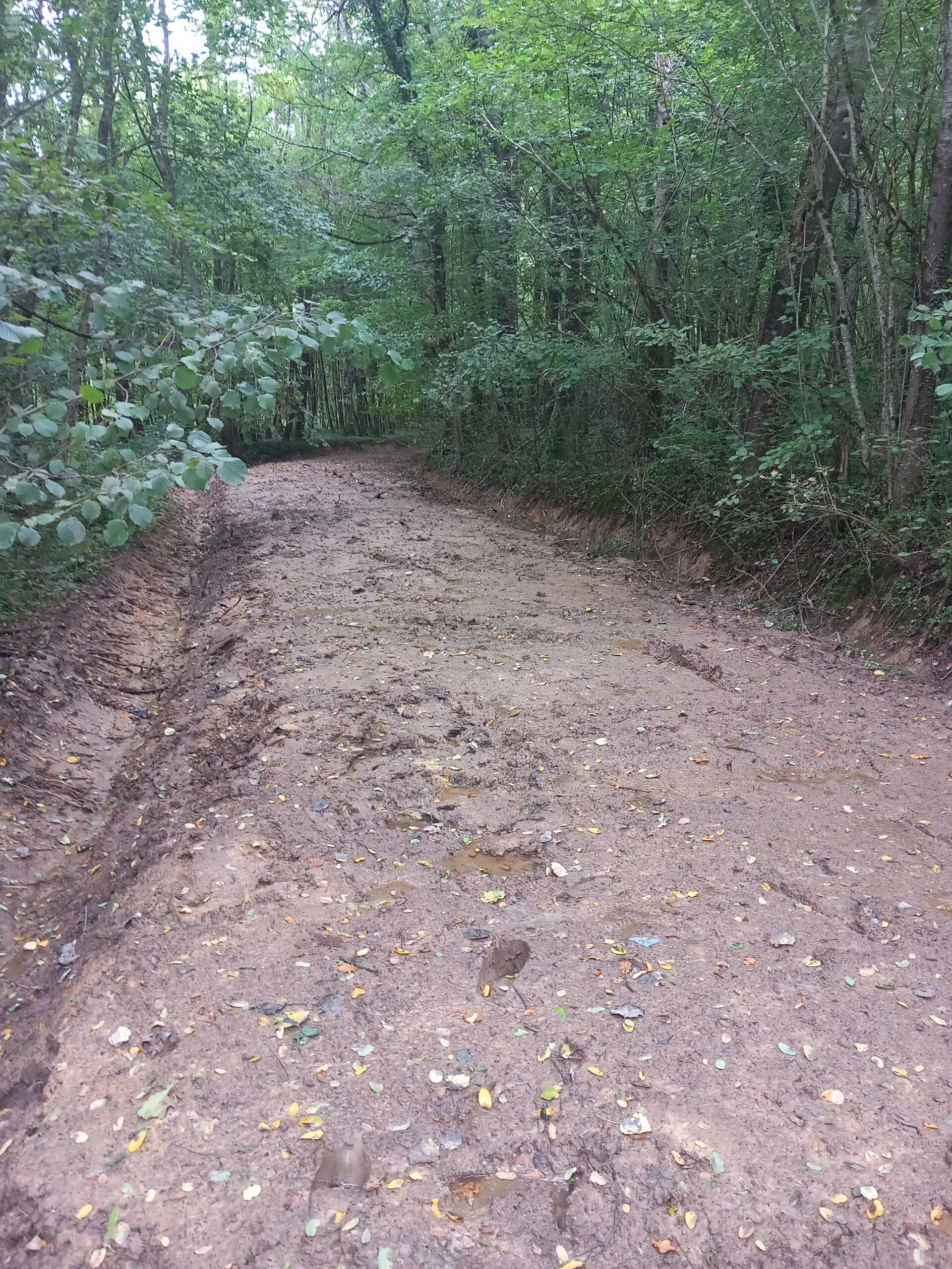 Chemin Bois Guérin - Refait