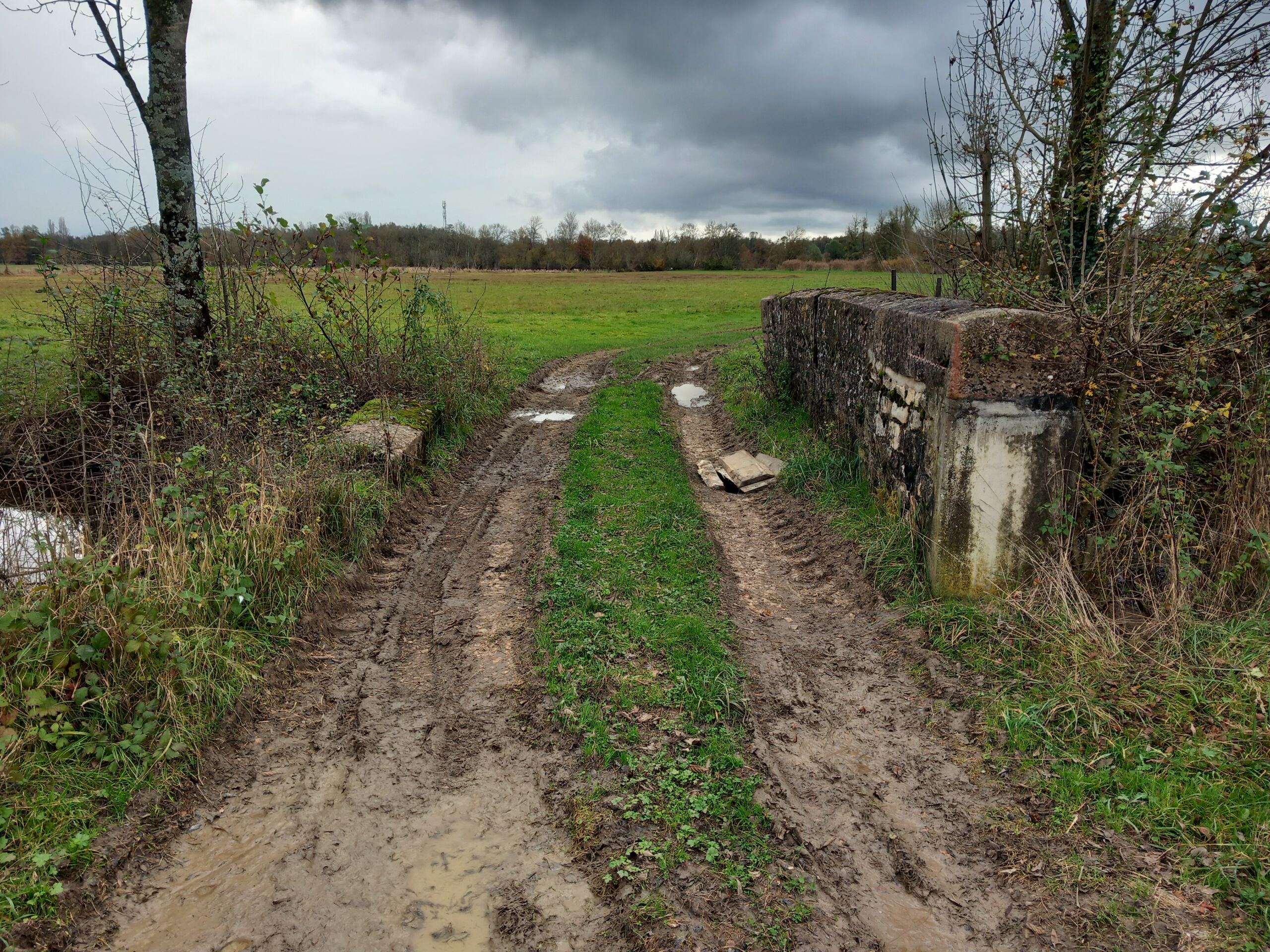 20251109_112551 Photo Pont de la Barre - 2025