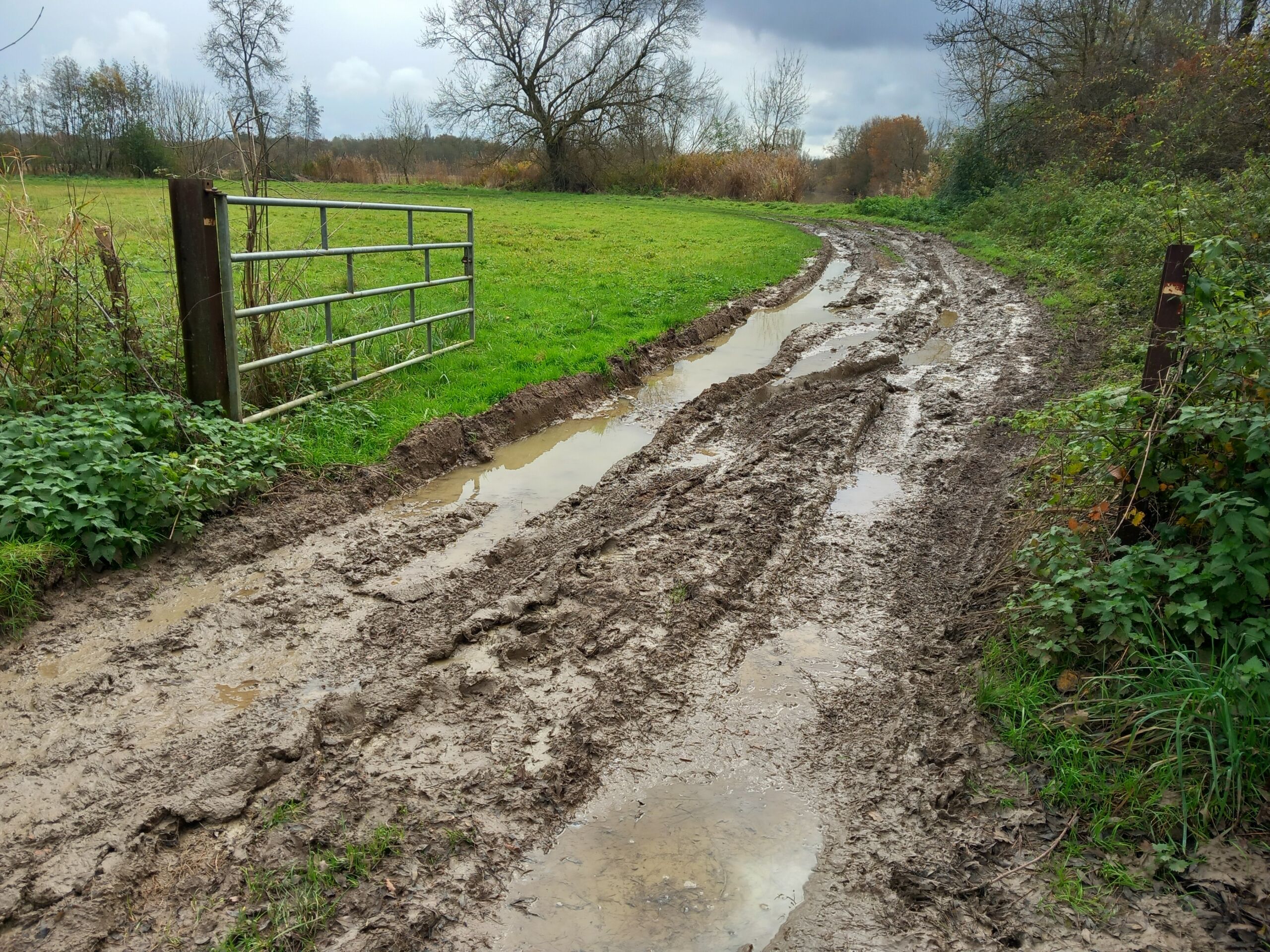 20251109_113337 Chemin prairie Pont de la Barre - 2025