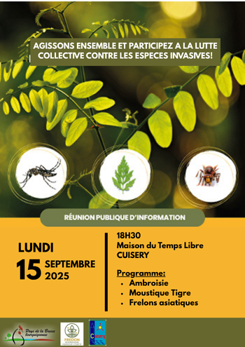 Affiche Ambroisie Cuisery - 2025