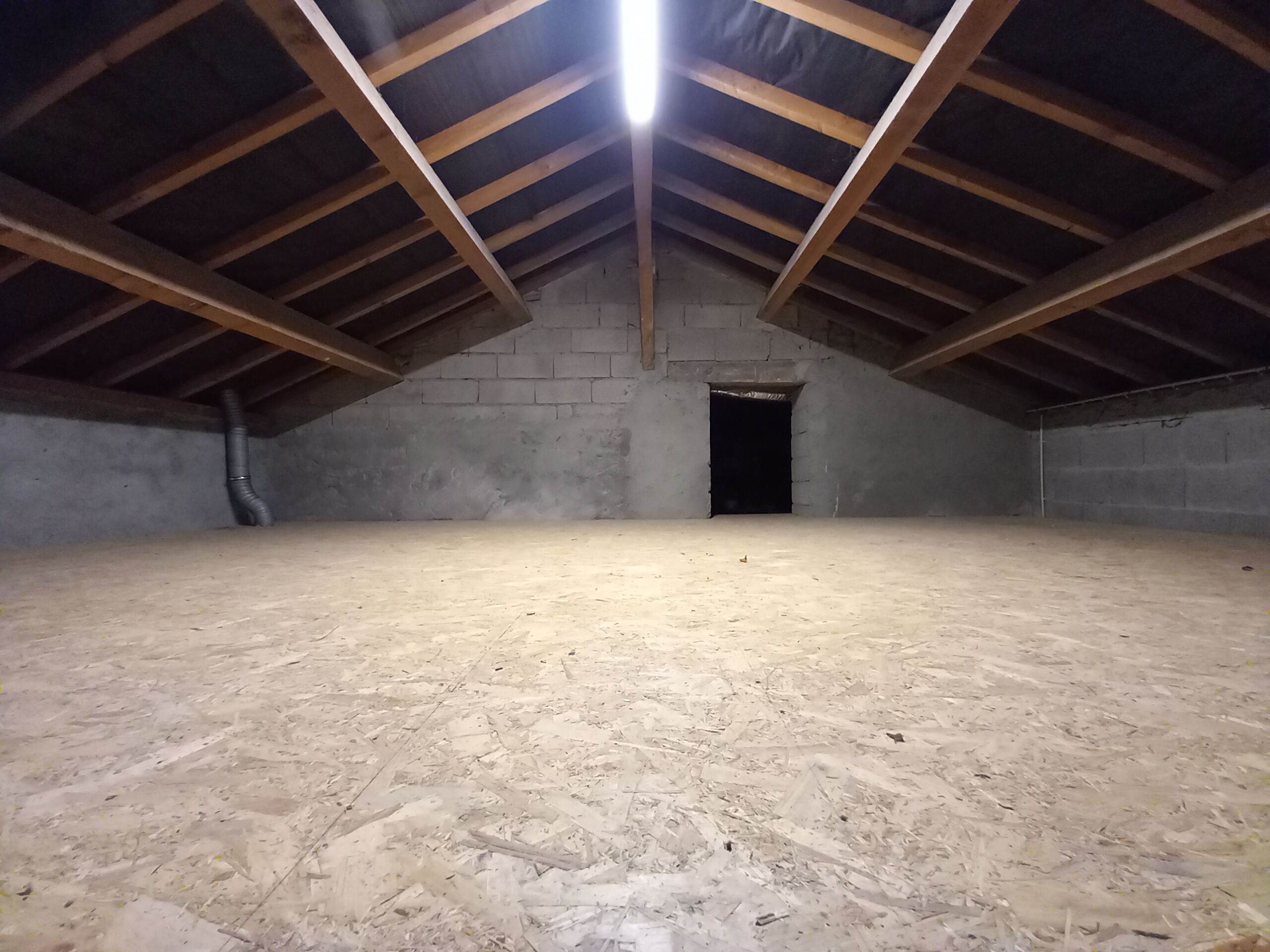 Plafond archives - 2025