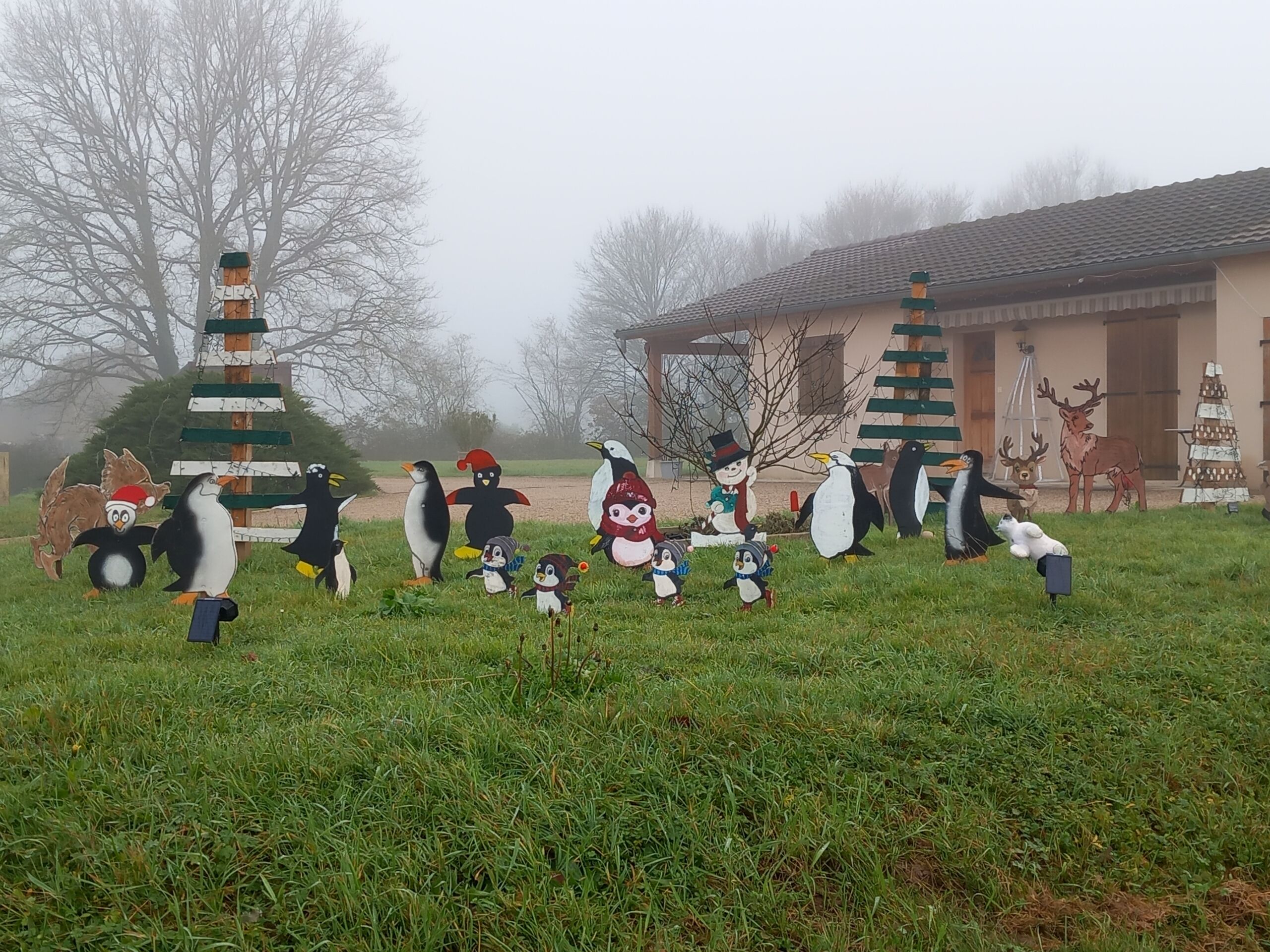 Décos Noël Chardenet - 2025