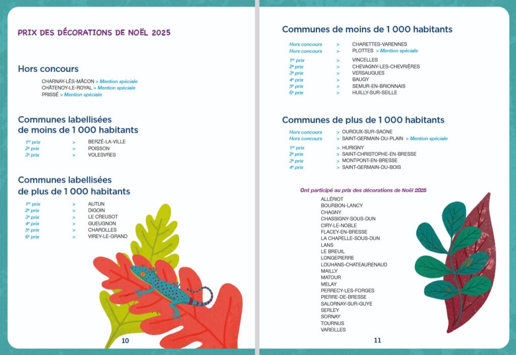 Capture Palmarès 2025 - liste Palmarès Décos Noêl listing - 2025